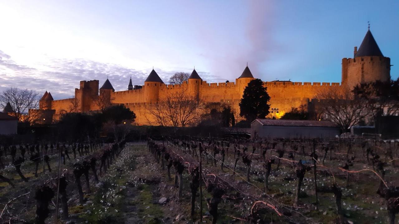 Domaine Fontgrande Gite Carcassonne Exteriör bild