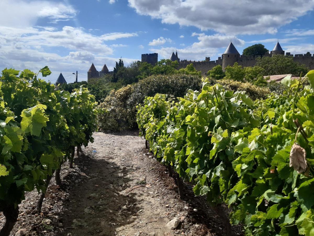 Domaine Fontgrande Gite Carcassonne Exteriör bild