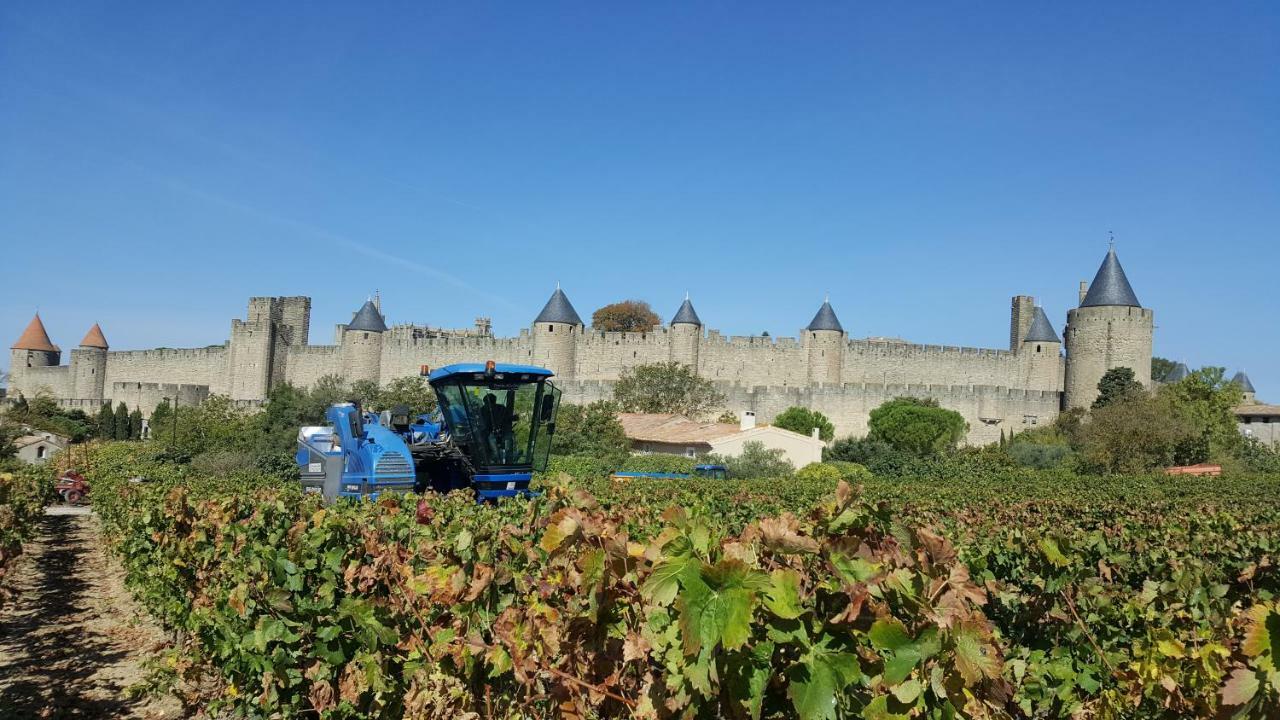 Domaine Fontgrande Gite Carcassonne Exteriör bild