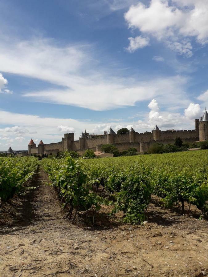 Domaine Fontgrande Gite Carcassonne Exteriör bild